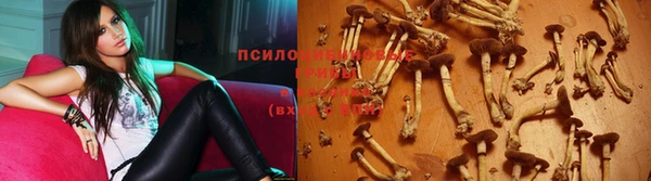 дурь Дмитриев
