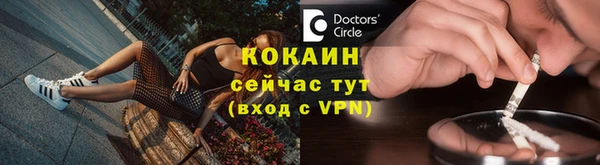 дурь Дмитриев