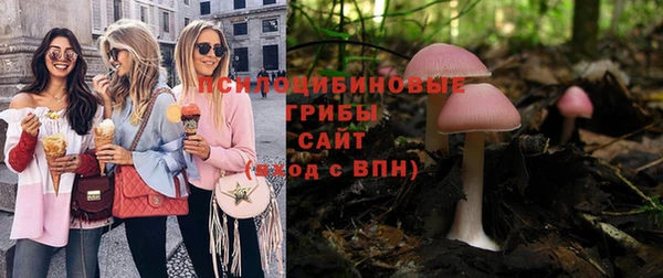 ПСИЛОЦИБИНОВЫЕ ГРИБЫ Дмитровск