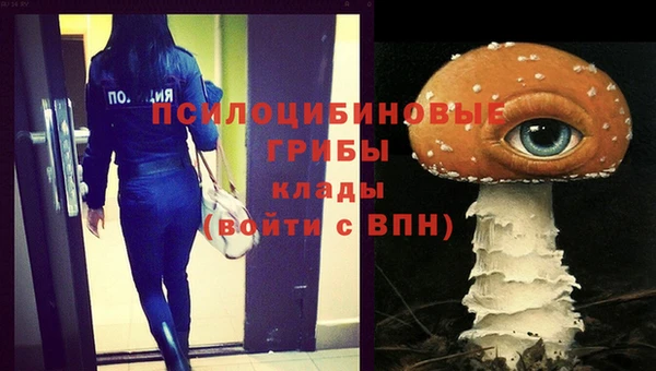 ПСИЛОЦИБИНОВЫЕ ГРИБЫ Дмитровск